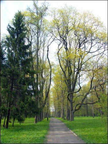 Niasviž. Park Old