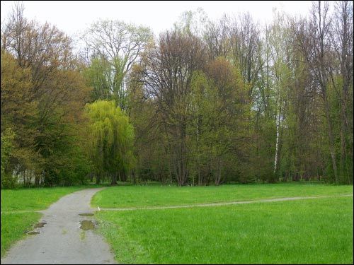 Niasviž. Park Old