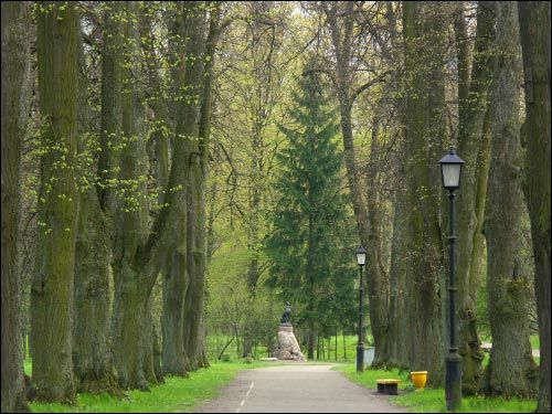 Niasviž. Park Old