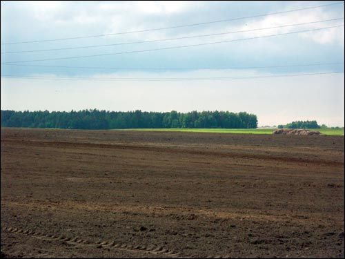 Najdzionavičy. Landscapes 