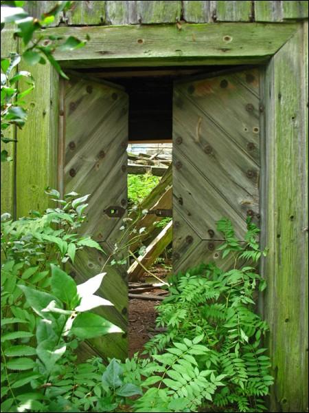 Najdzionavičy. Chapel at cemetery