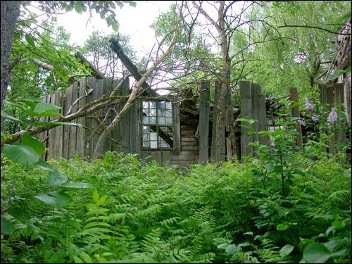 Najdzionavičy. Chapel at cemetery