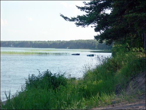  - Krajobrazy . Brzeg jeziora