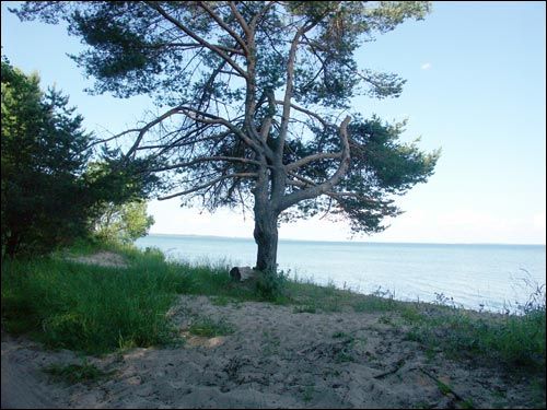  - Krajobrazy . Urok jeziora