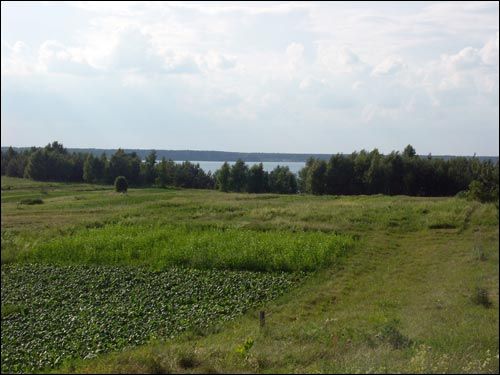  - Krajobrazy . Koło Nanosów, pole