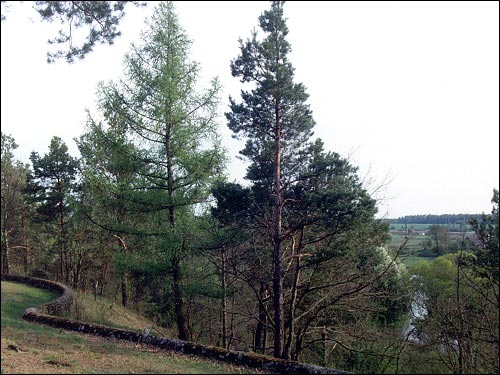 Dziesiatniki. Landscapes 