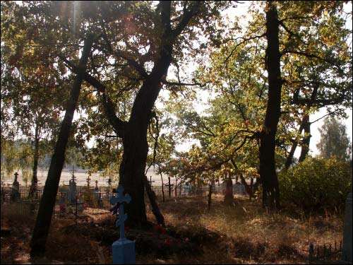 Miedna. Chapel of the Transfiguration