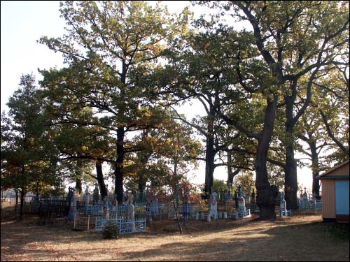 Miedna. Chapel of the Transfiguration