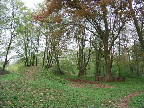 Zvody Małyja. Manor park of the Hutoŭski former Manor-place
