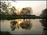Zwody Małe.  Park dworski Hutowskich