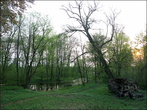 Zvody Małyja. Manor park of the Hutoŭski former Manor-place