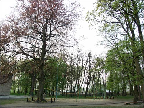 Zvody Małyja. Manor park of the Hutoŭski former Manor-place