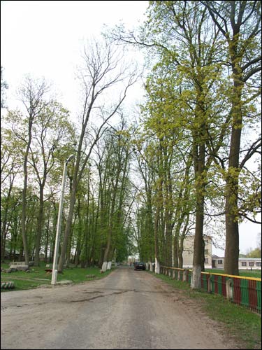 Zvody Małyja. Manor park of the Hutoŭski former Manor-place