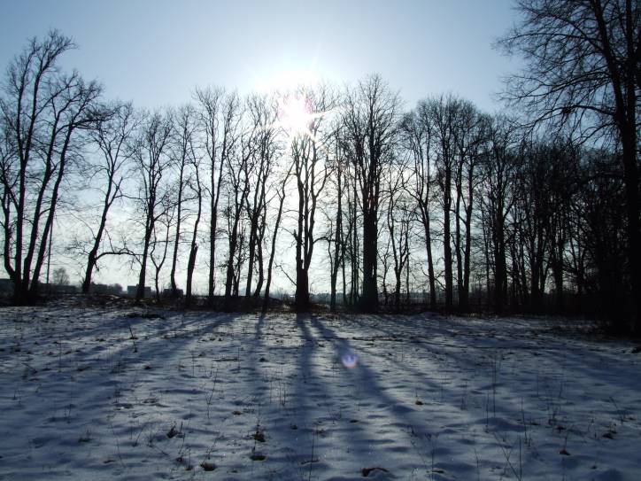 Zvody Małyja. Manor park of the Hutoŭski former Manor-place