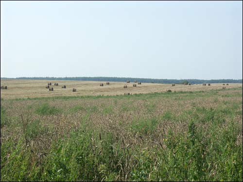  - Landscapes . Surroundings