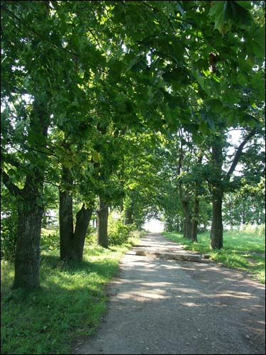 Ciasnówka (Płaskowicze). Zespół dworsko-parkowy 