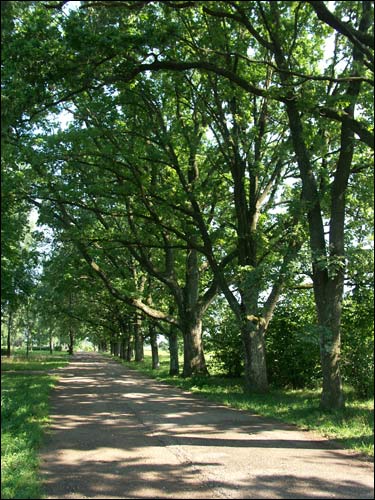 Ciasnówka (Płaskowicze). Zespół dworsko-parkowy 