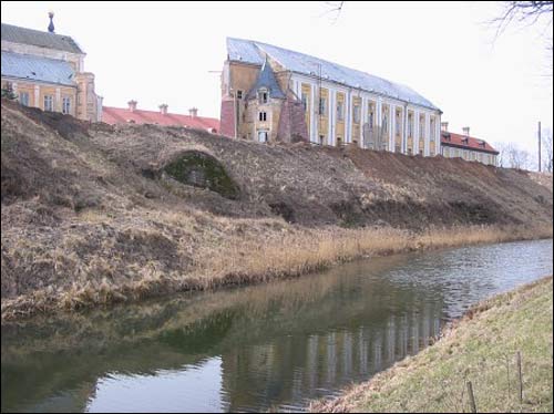  - Zamek Radziwiłłów Rekonstrukcja, 2008. Widok ruin zabytku od strony fosy