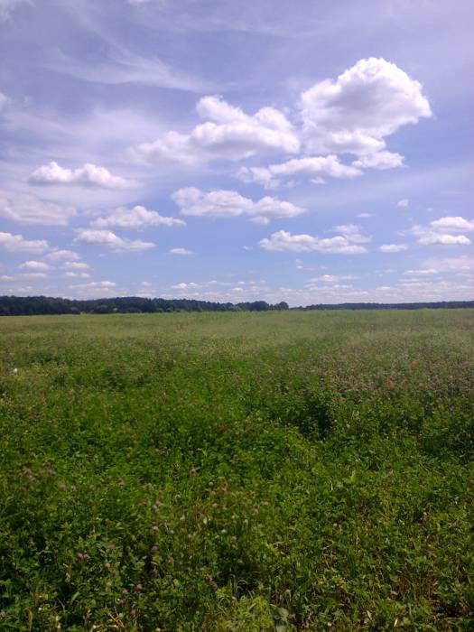Przyborowo. Krajobrazy 