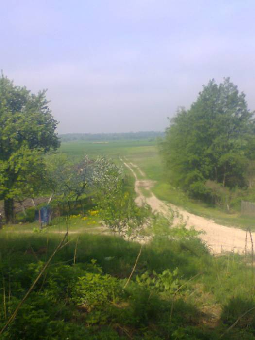 Przyborowo. Krajobrazy 