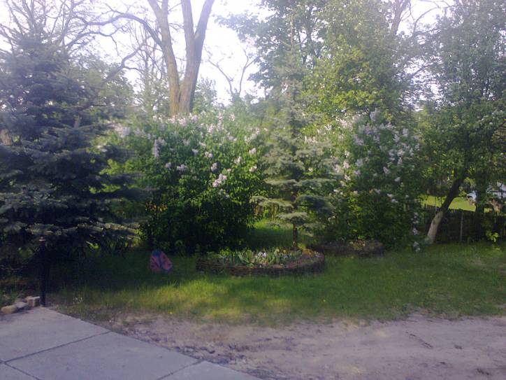 Przyborowo. Krajobrazy 