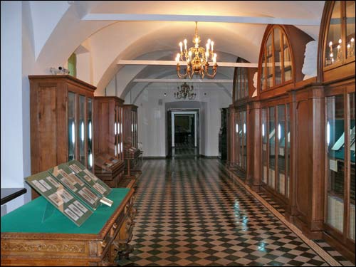  - Radziwill castle. Reconstruction, 2009. 14.02.2009