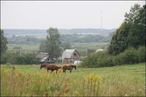 Студзёнка. Краявіды 