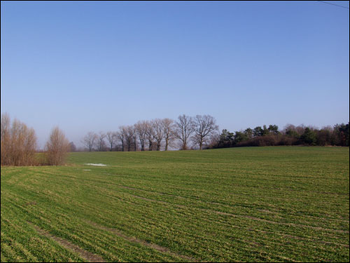 Rakavica.  Manor park (fragments)