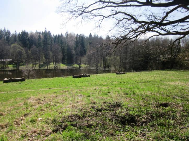 Litoŭka. Landscapes 