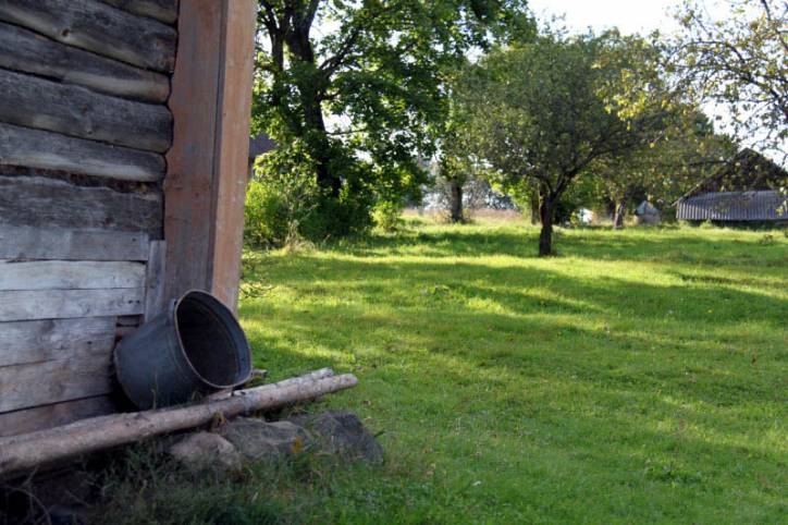 Dziurany. In the village 