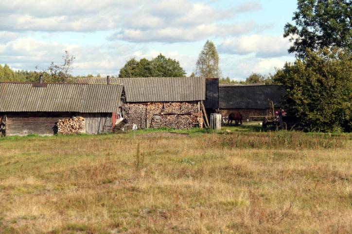 Dziurany. In the village 