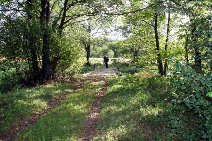 Dziurany. In the village 