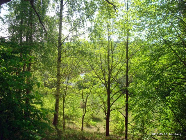 Vałyncy. Landscapes 