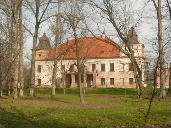 Skoki. Zespół dworsko-parkowy Niemcewiców