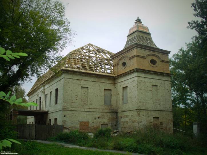  - Zespół dworsko-parkowy Niemcewiców. 