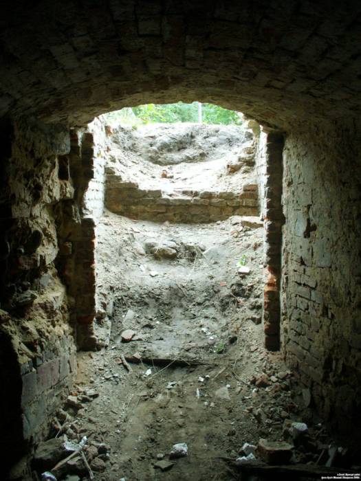  - Zespół dworsko-parkowy Niemcewiców. 