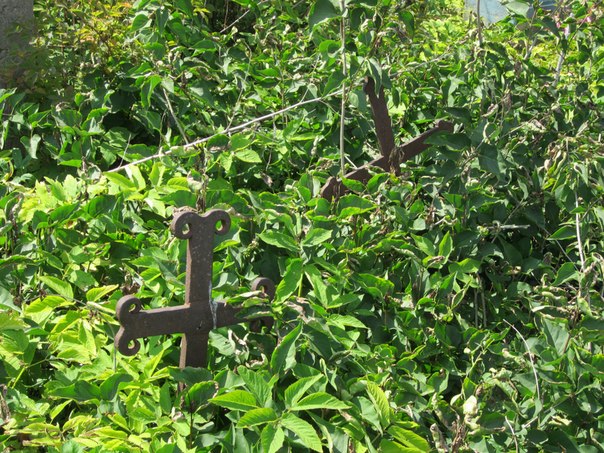  - Cmentarz stary prawosławny. 