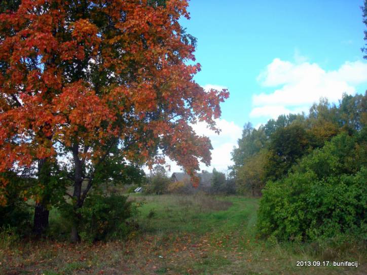 Domniki. Landscapes 