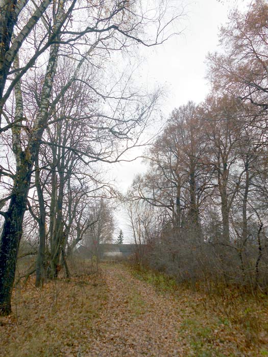  - Manor Kowalewszczyzna. The alley