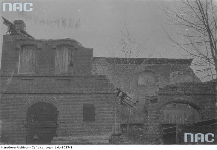 Dzisna. Town at the old photos 