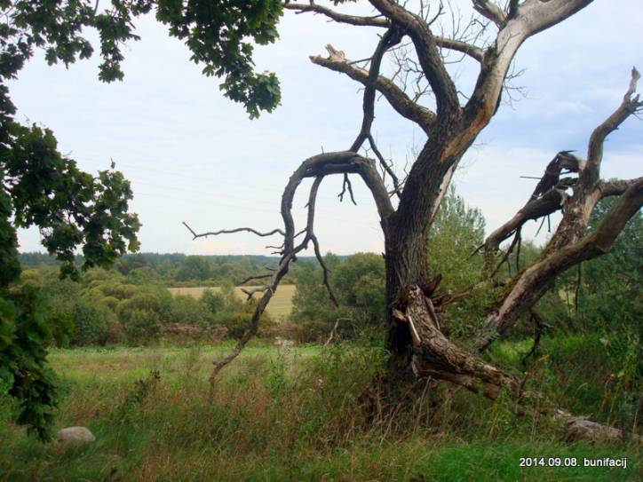  - В деревне . 
