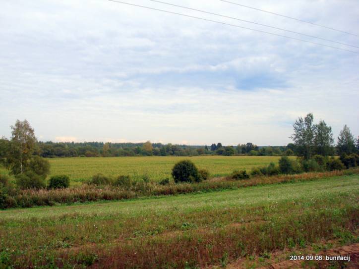 Vusvica. In the village 