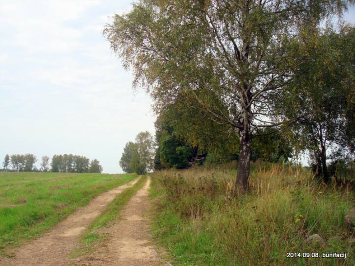 Vusvica. In the village 