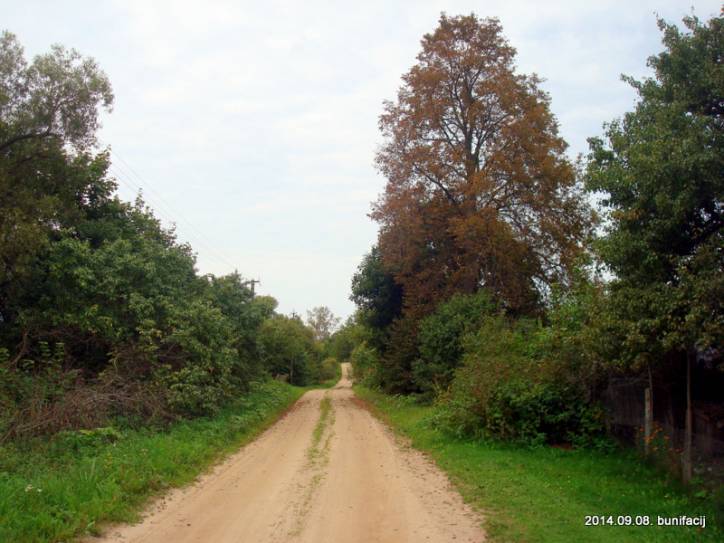  - В деревне . Дорога через деревню