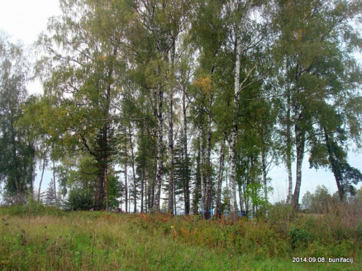 Vusvica. In the village 