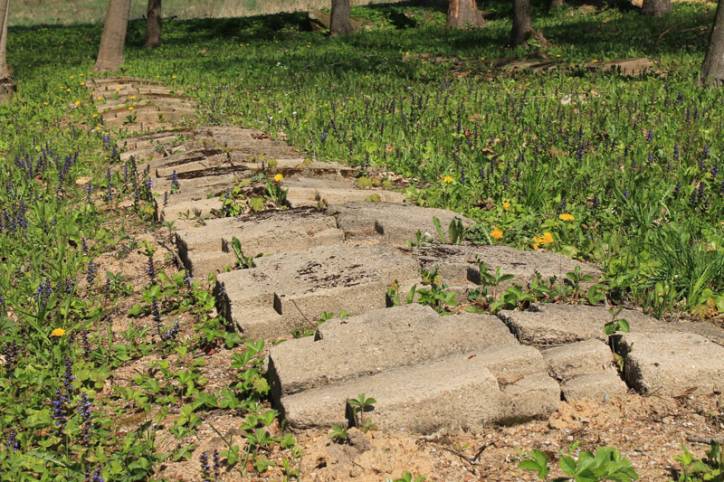  - Soldierly (WWI) Cemetery . 
