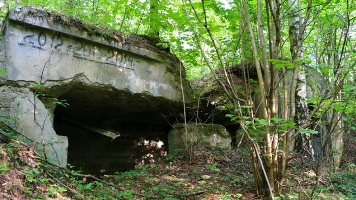  - Defensive Fortifications . 