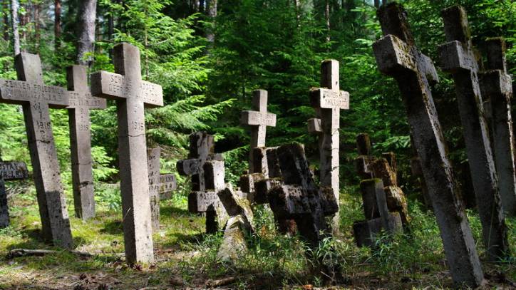 Kałpiaja. Soldierly (WWI) Cemetery 