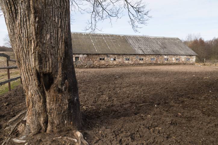 Mokryca. Farmstead 