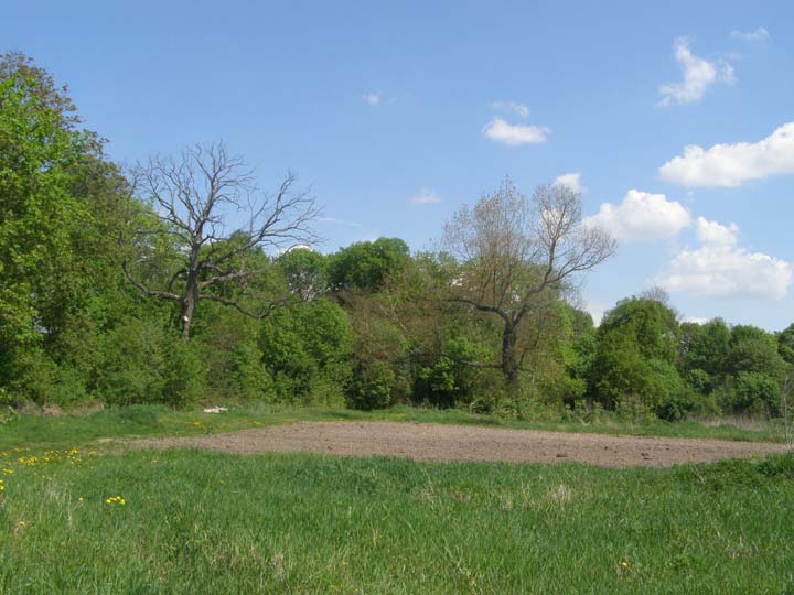 Žuchavičy Małyja.  Manor park 